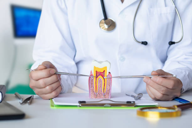 Best Cracked Tooth Emergency Dentist  in Columbus, MS